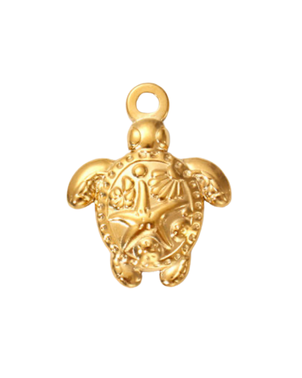 Charm tortue