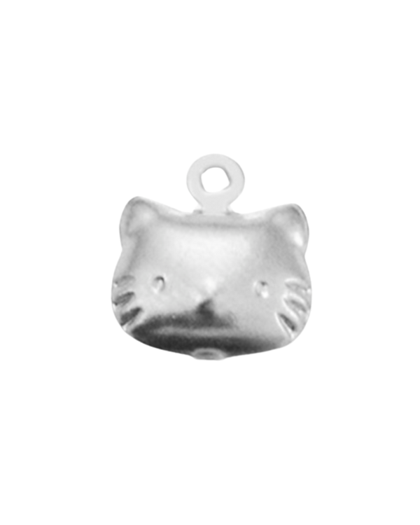 Charm chat