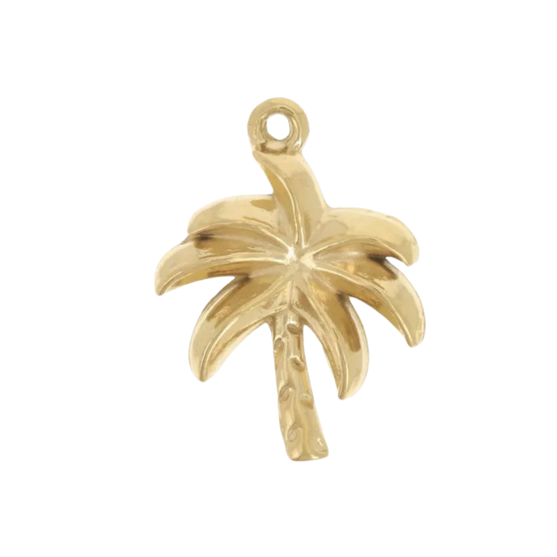 Charm palmier