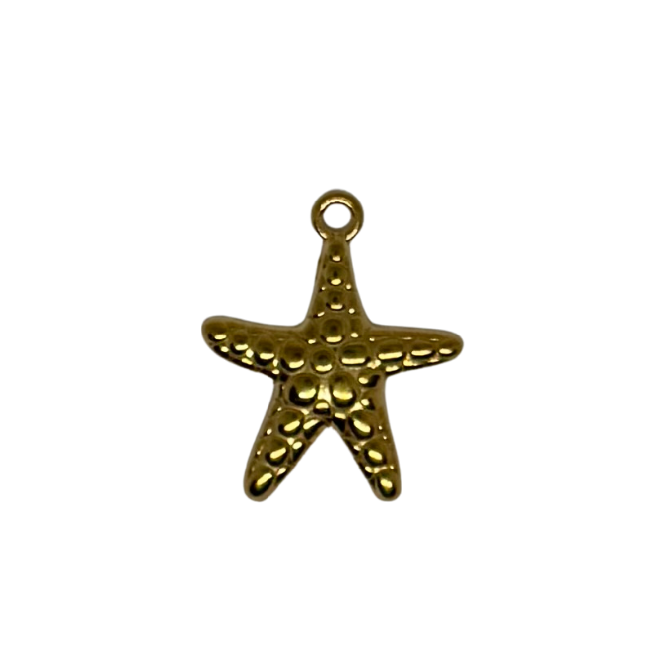 Charm étoile de mer