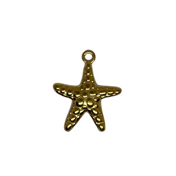 Charm étoile de mer