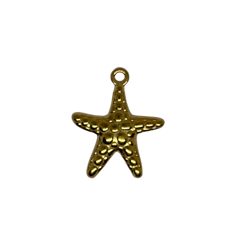 Charm étoile de mer