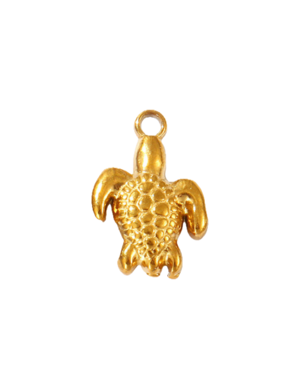 Charm tortue