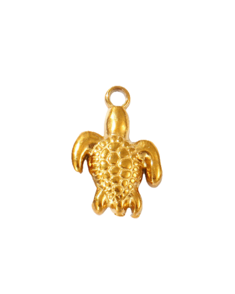 Charm tortue