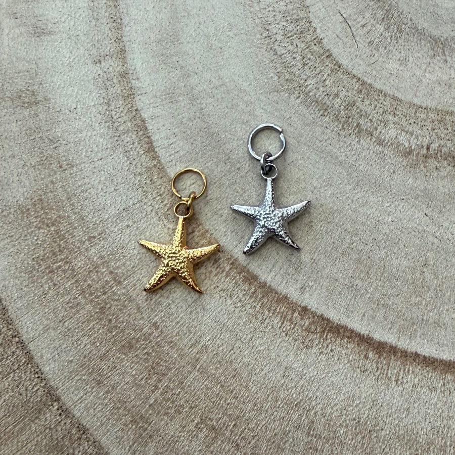 Charm étoile de mer