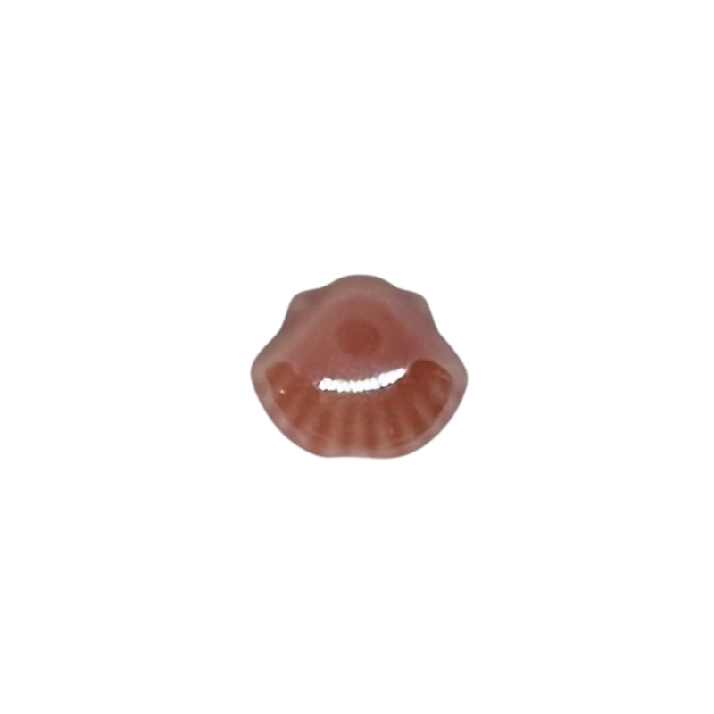 Charm coquillage