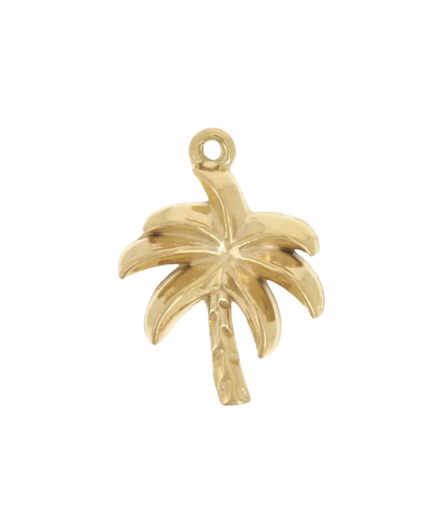 Charm palmier