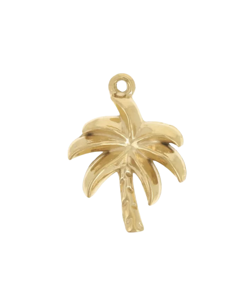 Charm palmier