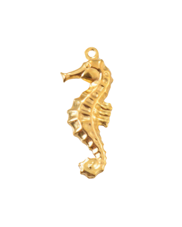 Charm hippocampe