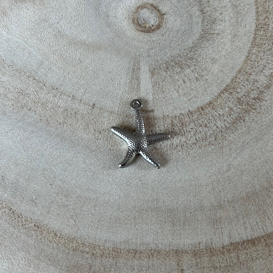Charm étoile de mer