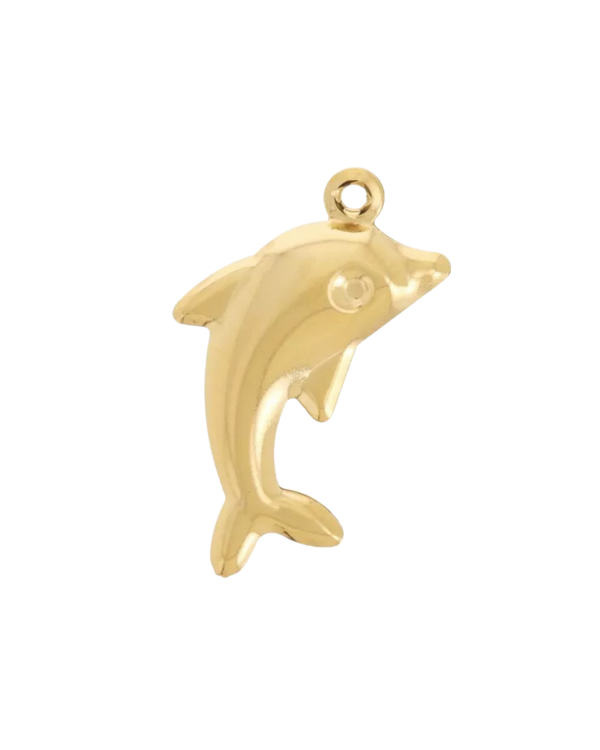 Charm dauphin