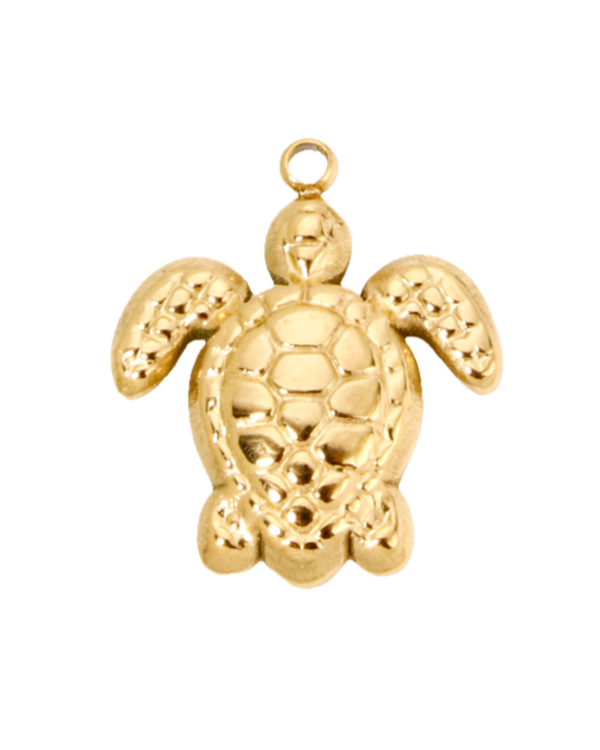 Charm tortue