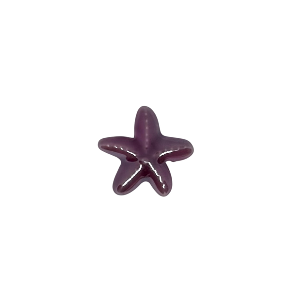 Charm étoile de mer