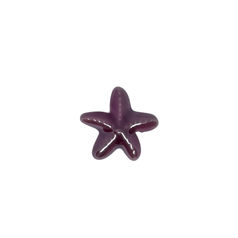 Charm étoile de mer