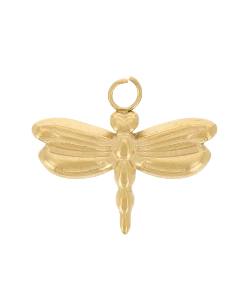 Charm libellule