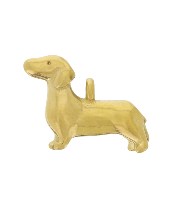 Charm chien