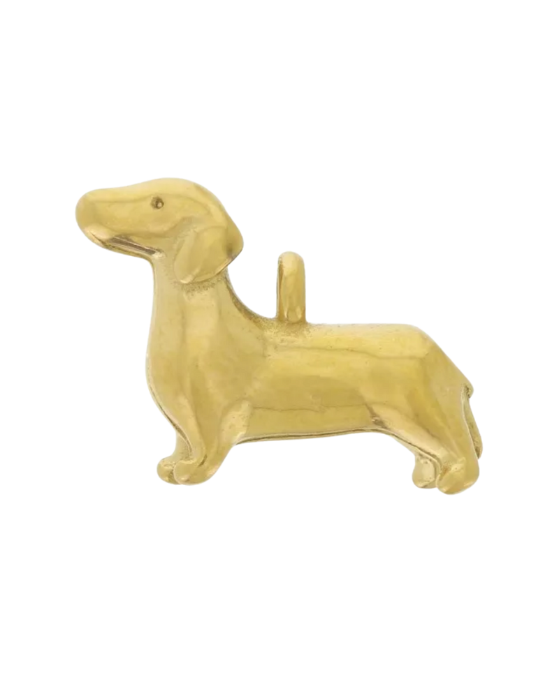 Charm chien
