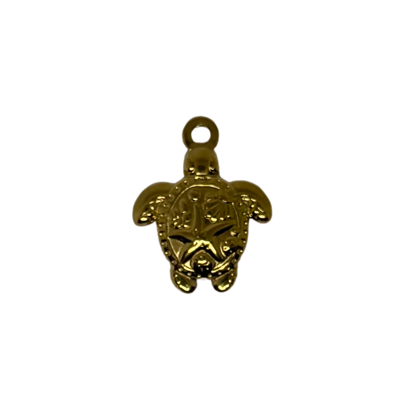Charm tortue