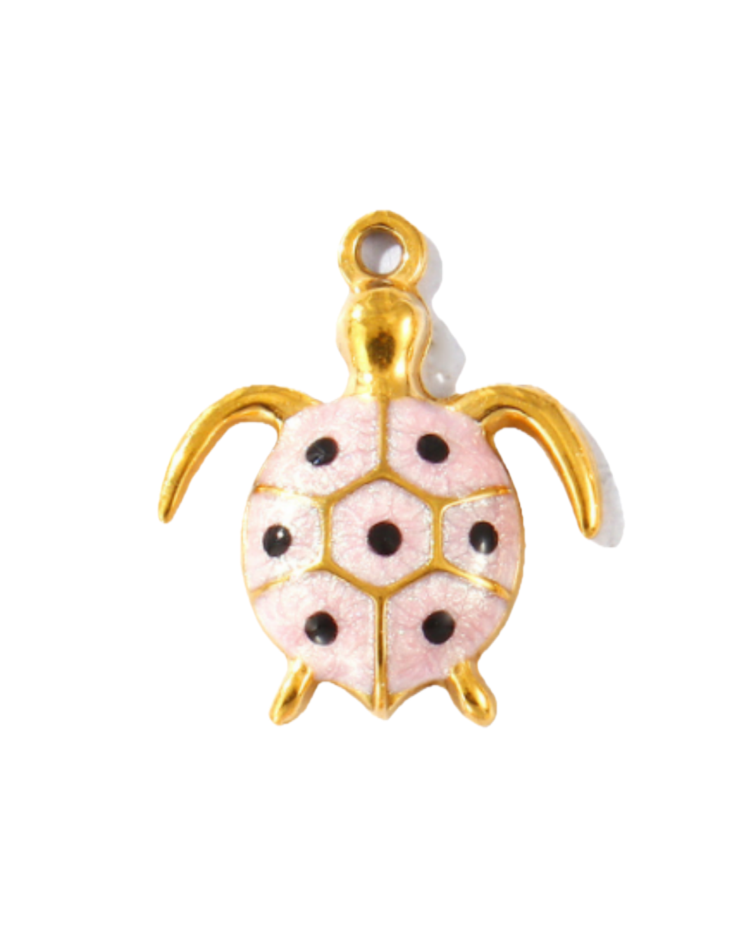 Charm tortue