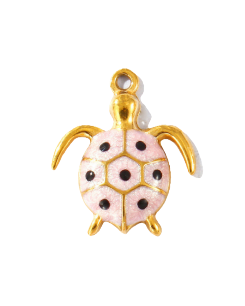 Charm tortue
