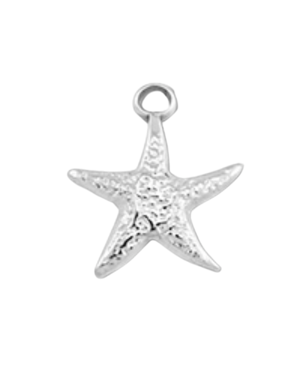 Charm étoile de mer