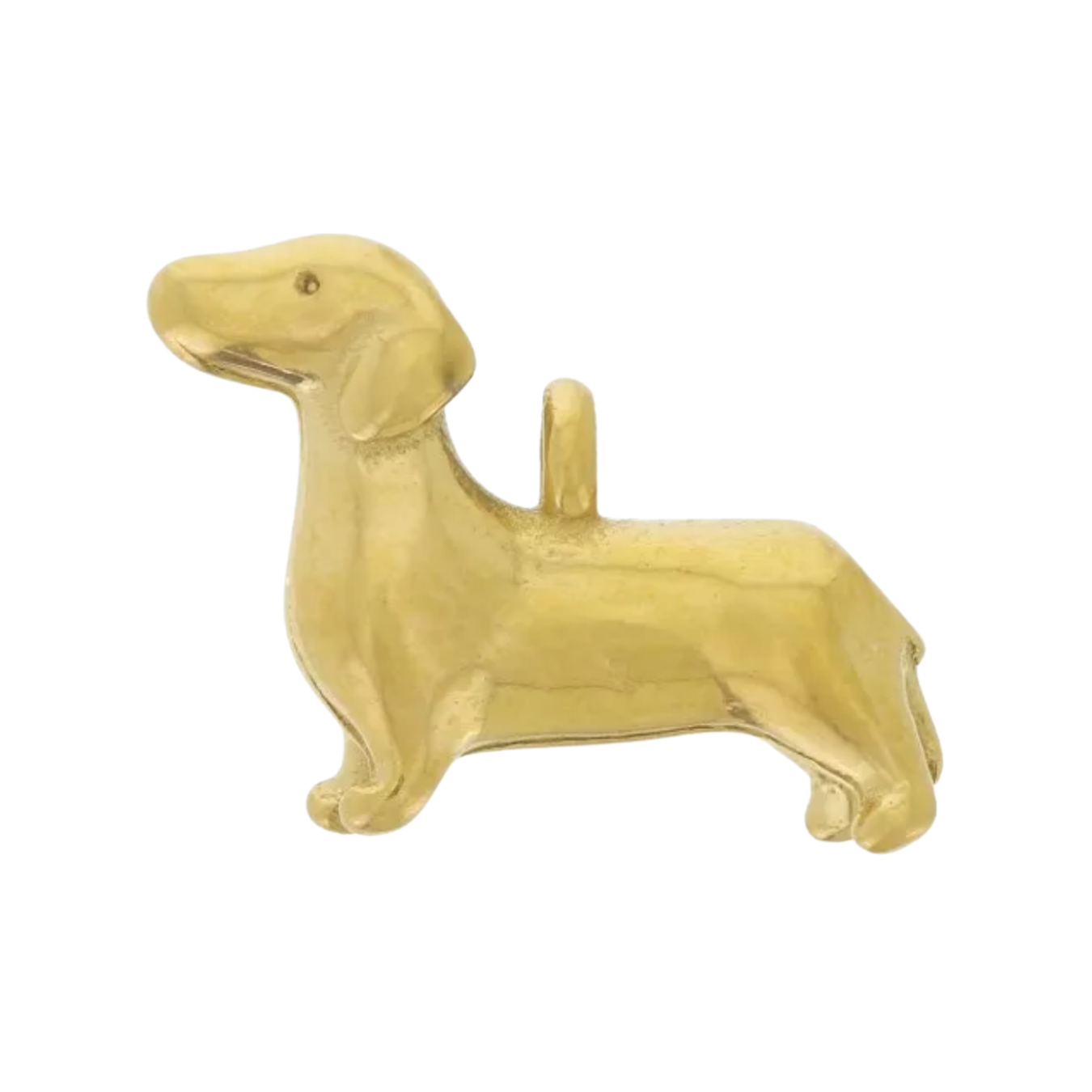 Charm chien