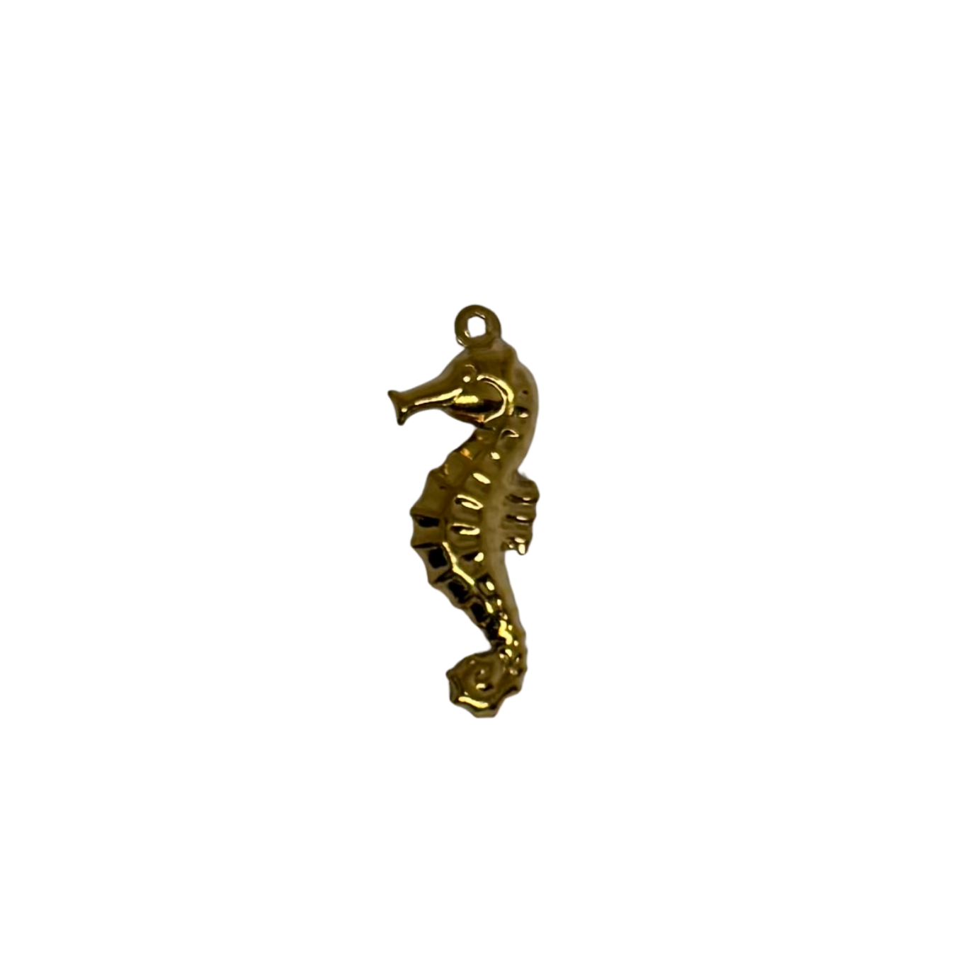 Charm hippocampe