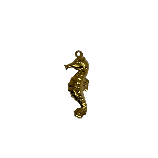 Charm hippocampe