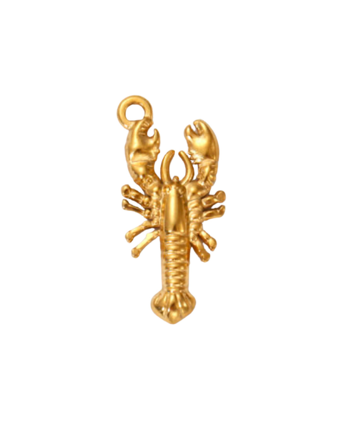 Charm homard