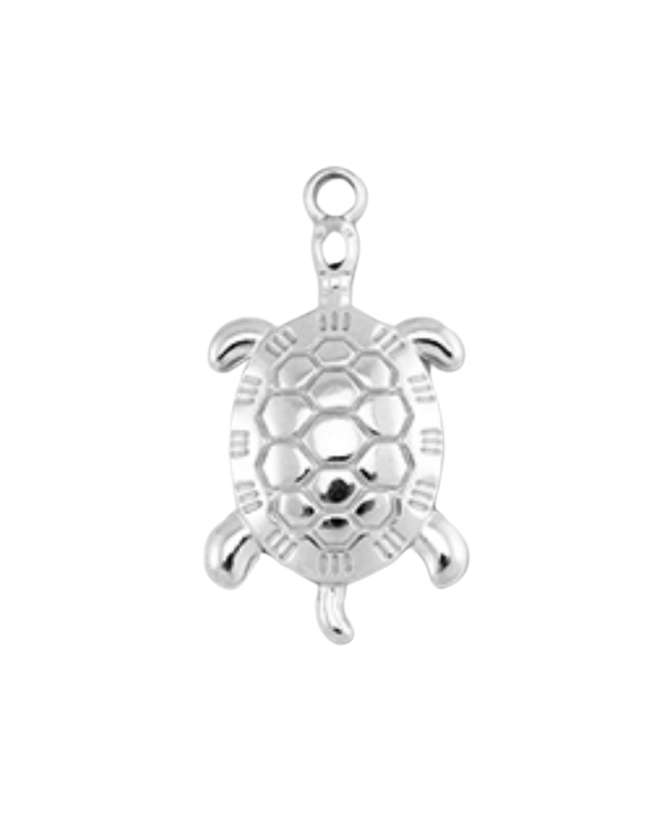 Charm tortue