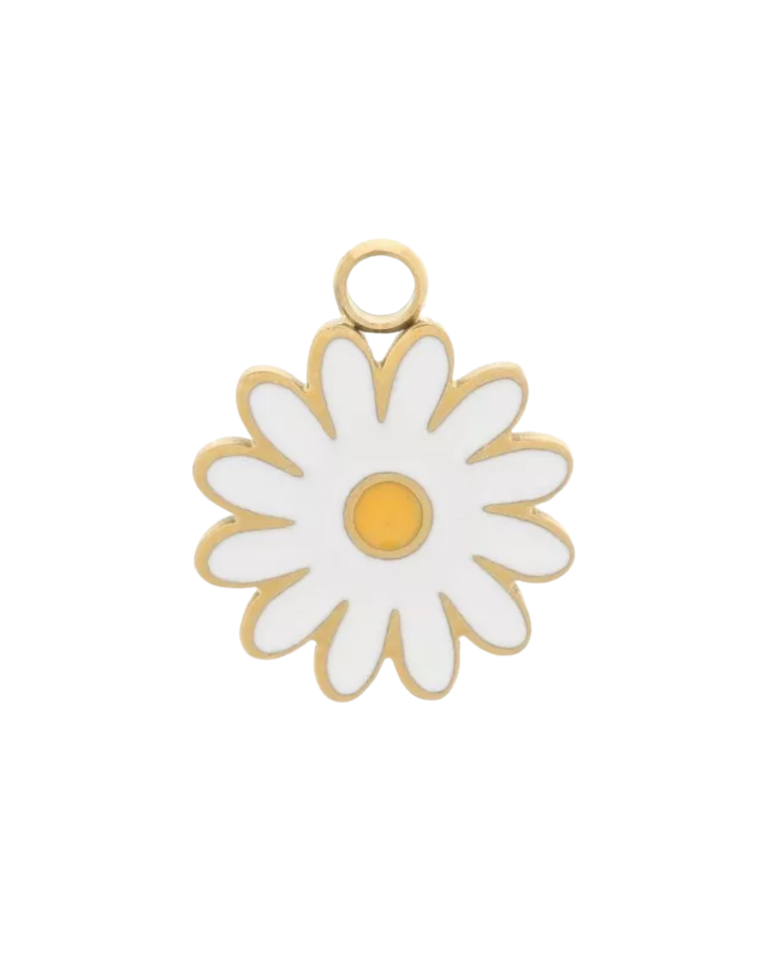 Charm marguerite