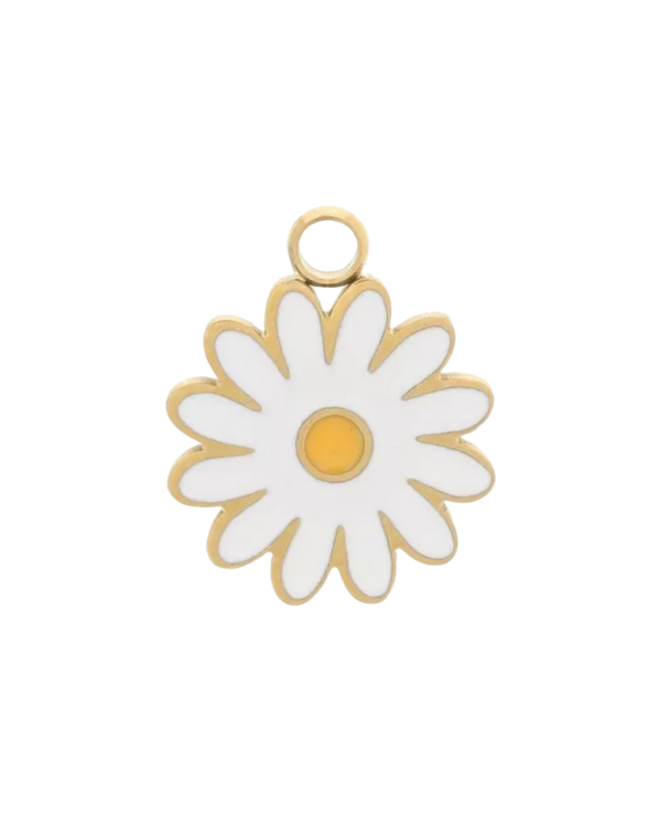 Charm marguerite