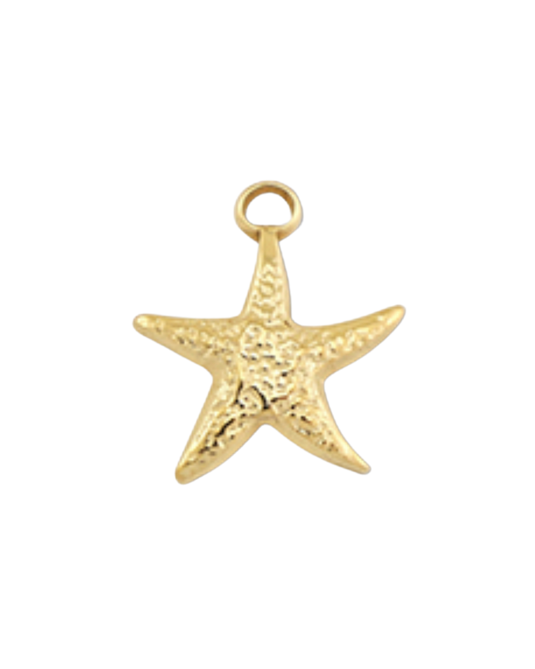 Charm étoile de mer