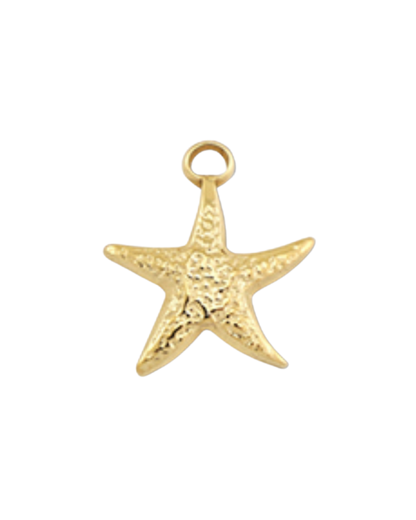 Charm étoile de mer