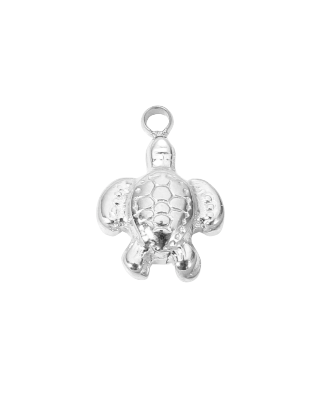 Charm tortue