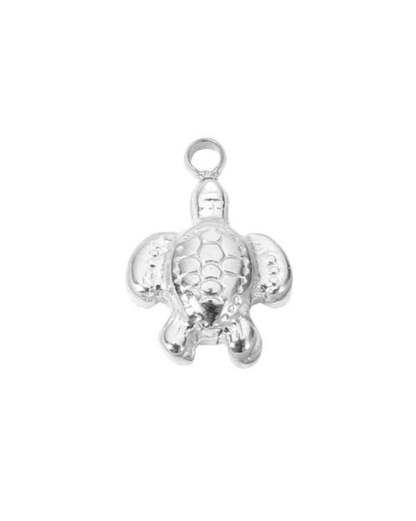 Charm tortue