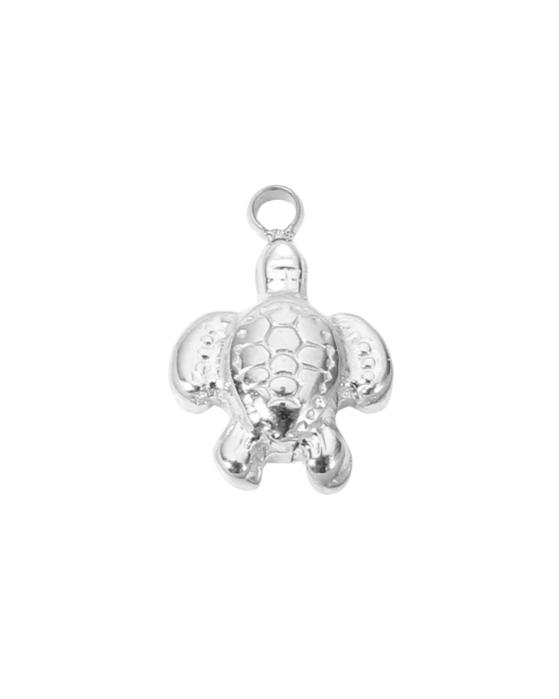 Charm tortue