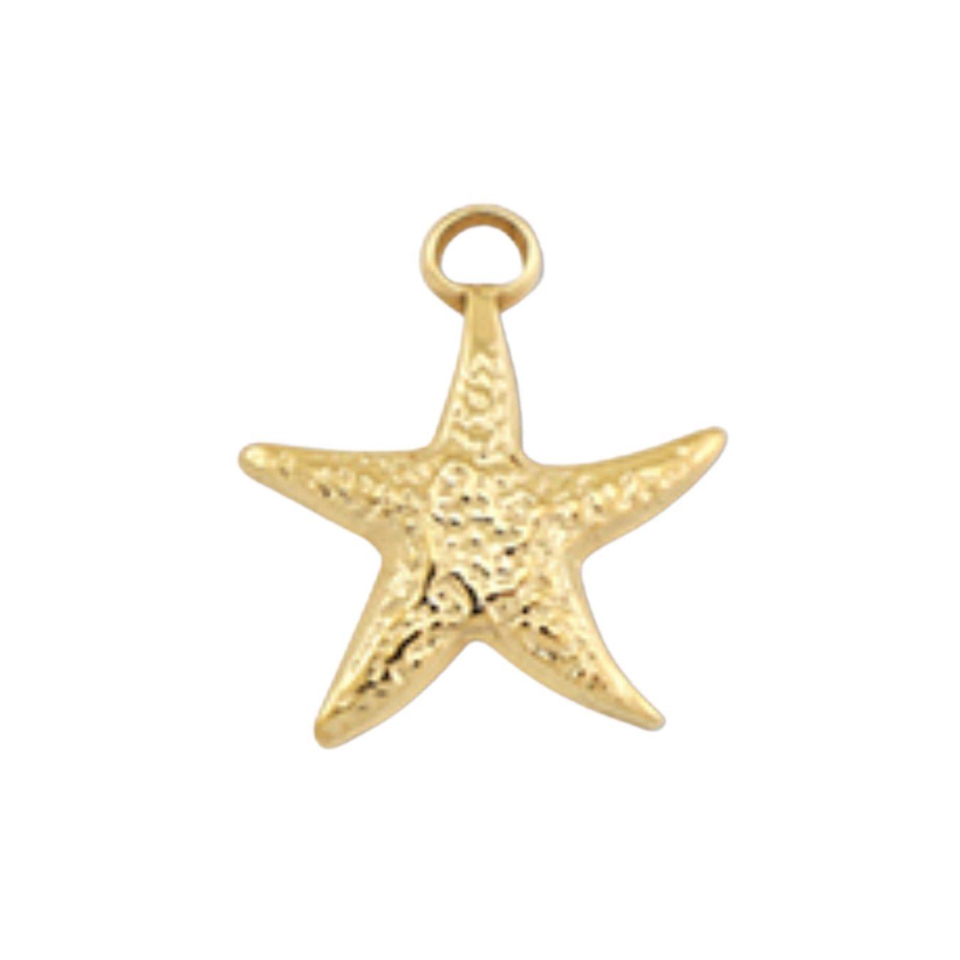 Charm étoile de mer