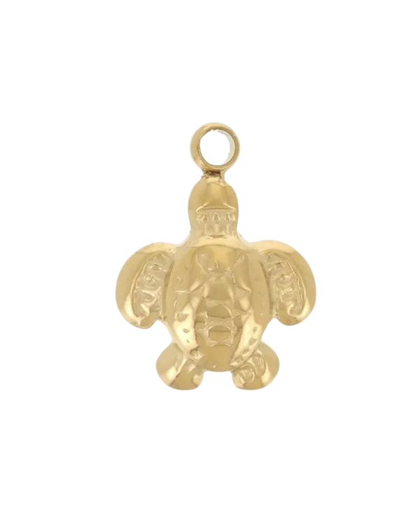 Charm tortue