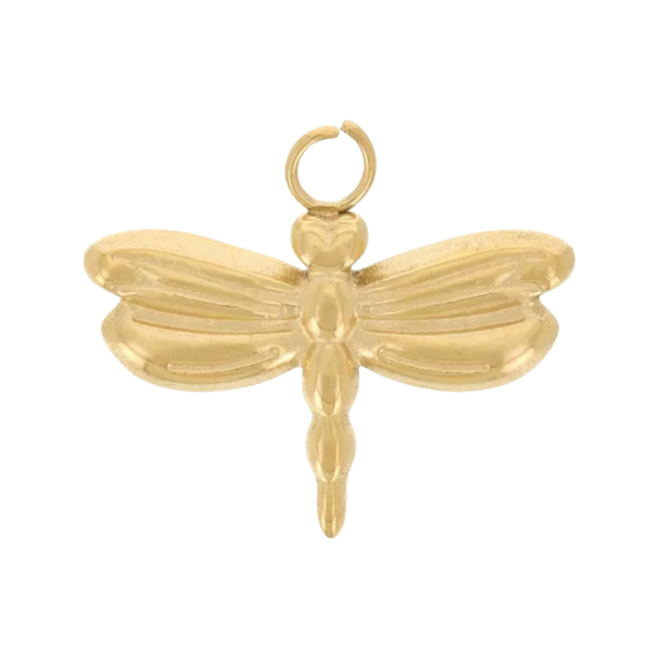 Charm libellule