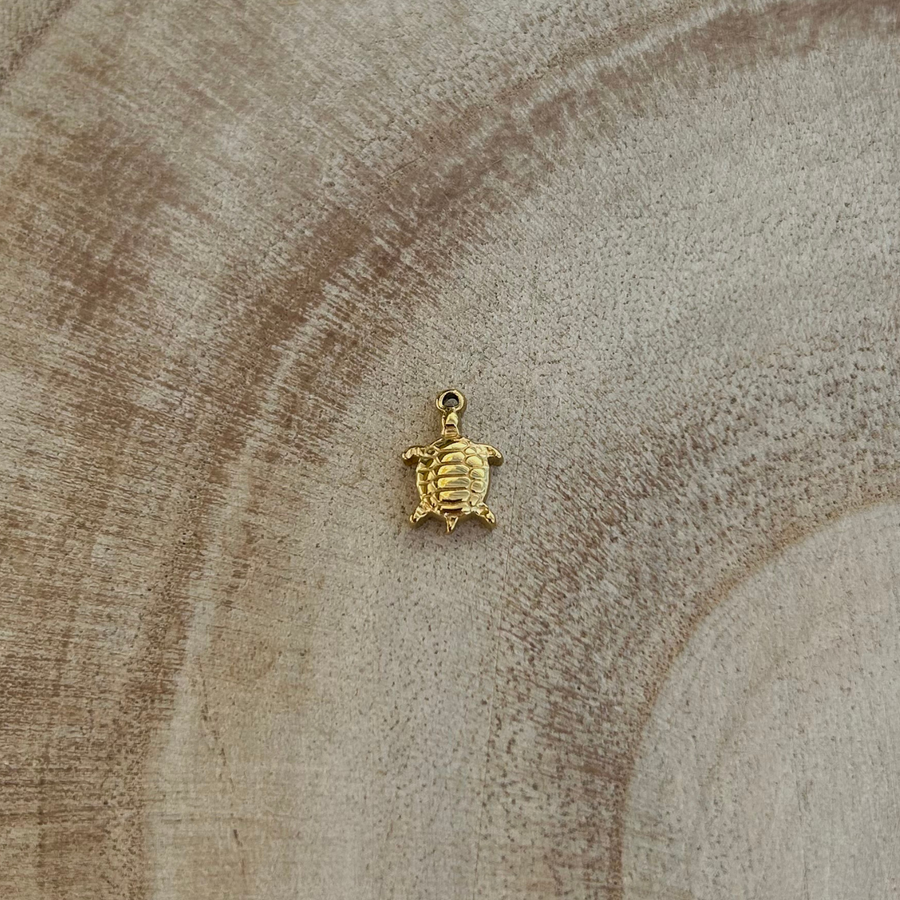 Charm tortue
