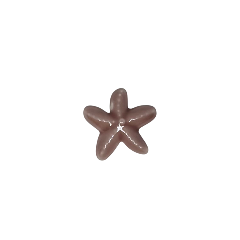 Charm étoile de mer