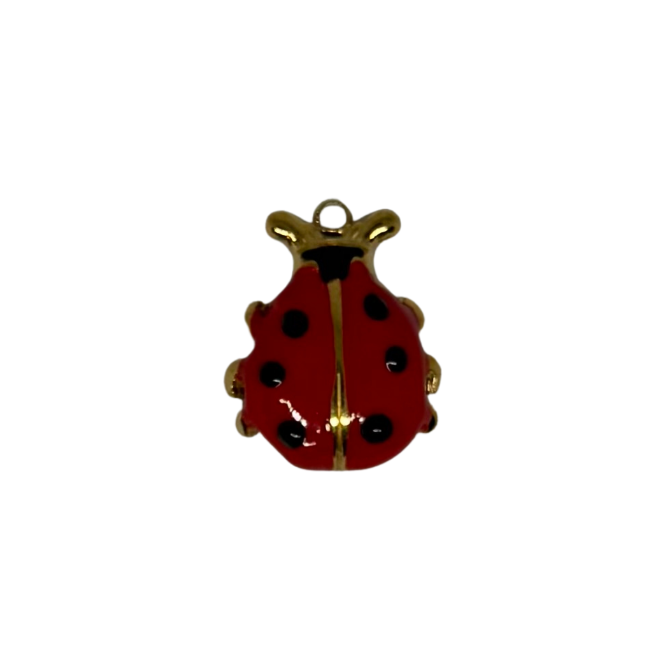 Charm coccinelle