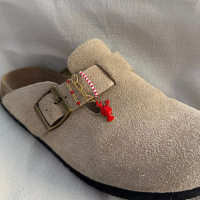 Bijoux de chaussures