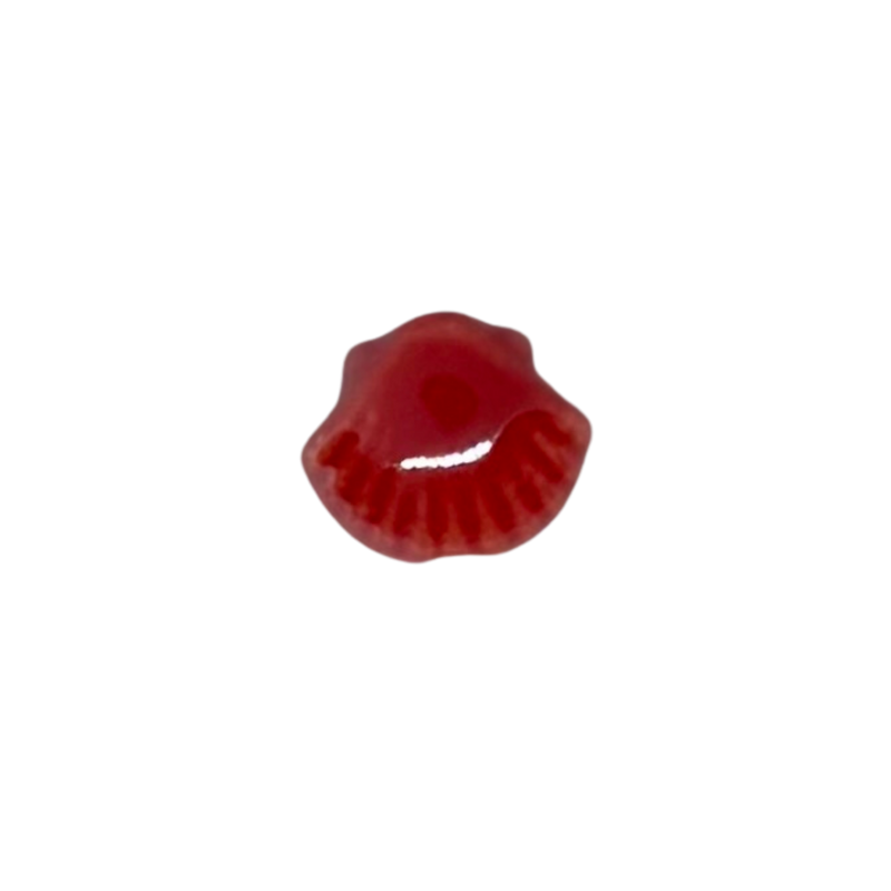Charm coquillage