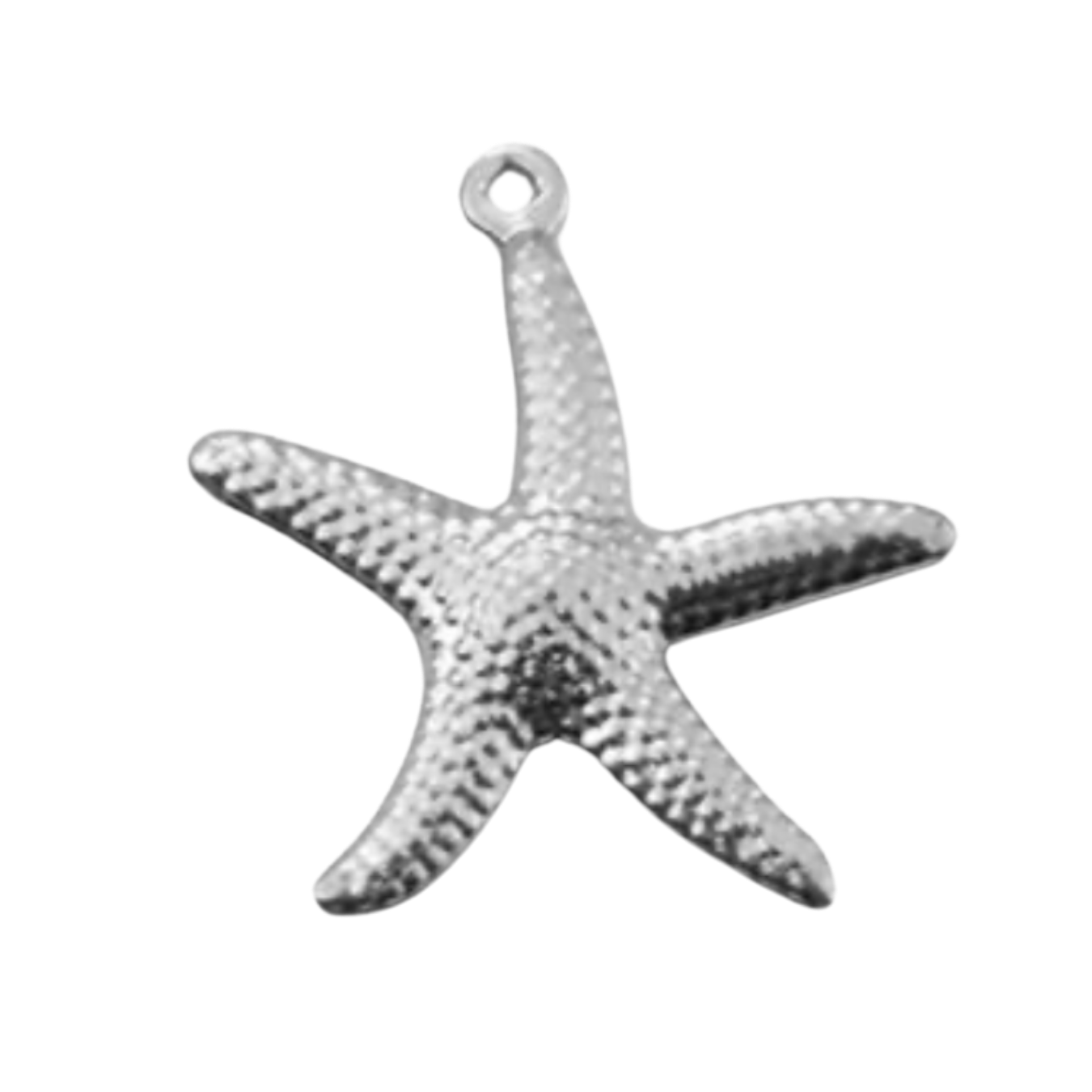 Charm étoile de mer