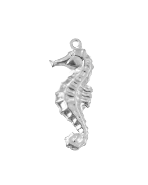 Charm hippocampe