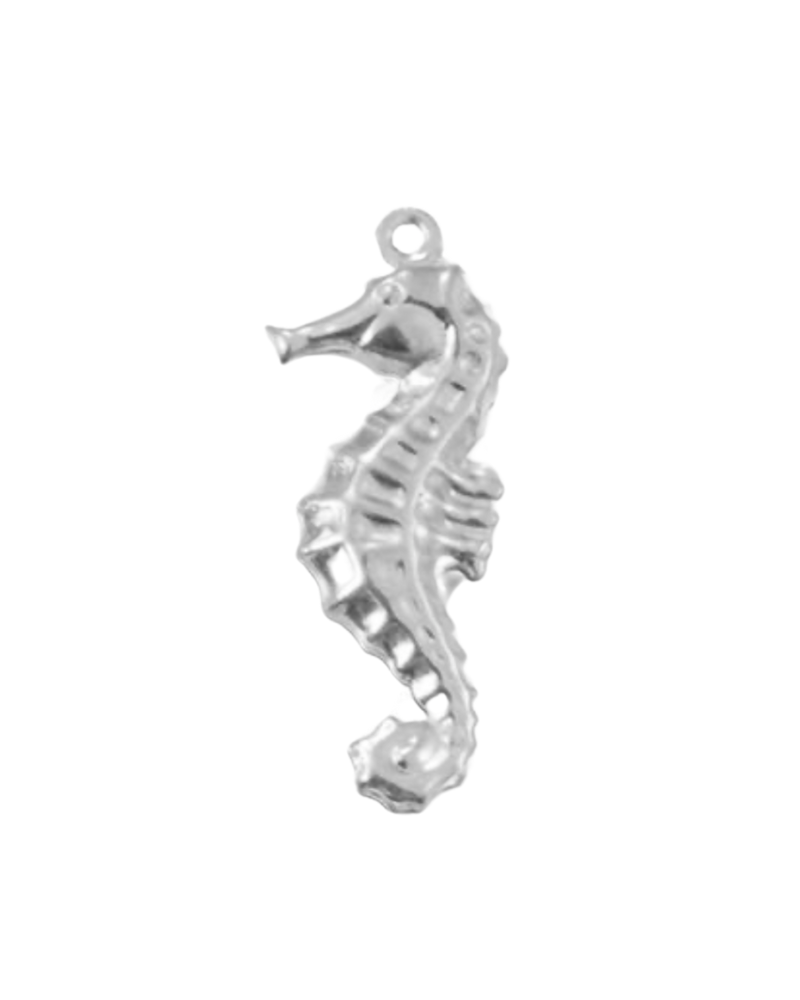 Charm hippocampe