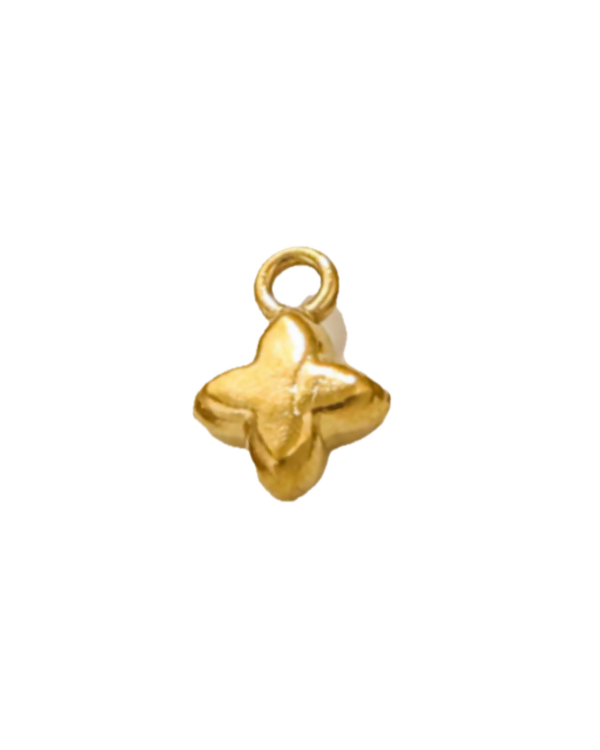 Charm étoile