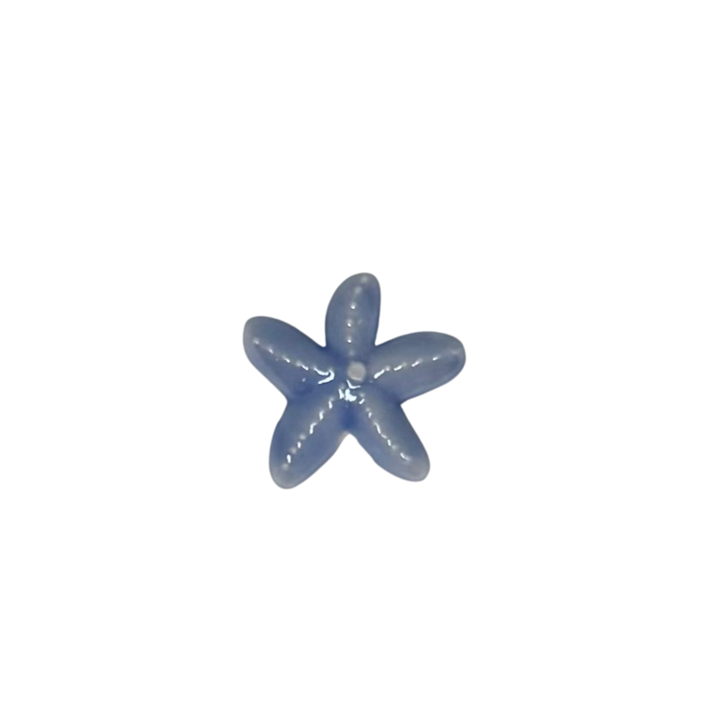 Charm étoile de mer